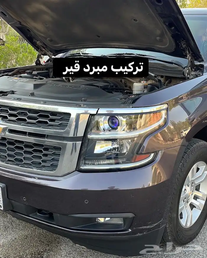 بلستين اكسسوارات بطانه كفر تروكول بلف رياضي 54