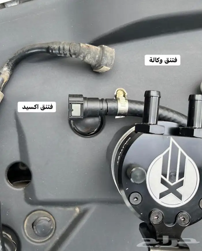 بلستين اكسسوارات بطانه كفر تروكول بلف رياضي 18