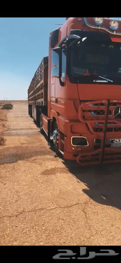 تريلا مفروش جاهز نقل ابل الى جميع منطق المملكه 1