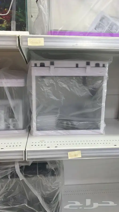 العامريه لطيور واسماك الزينه والقطط الاليفه 8