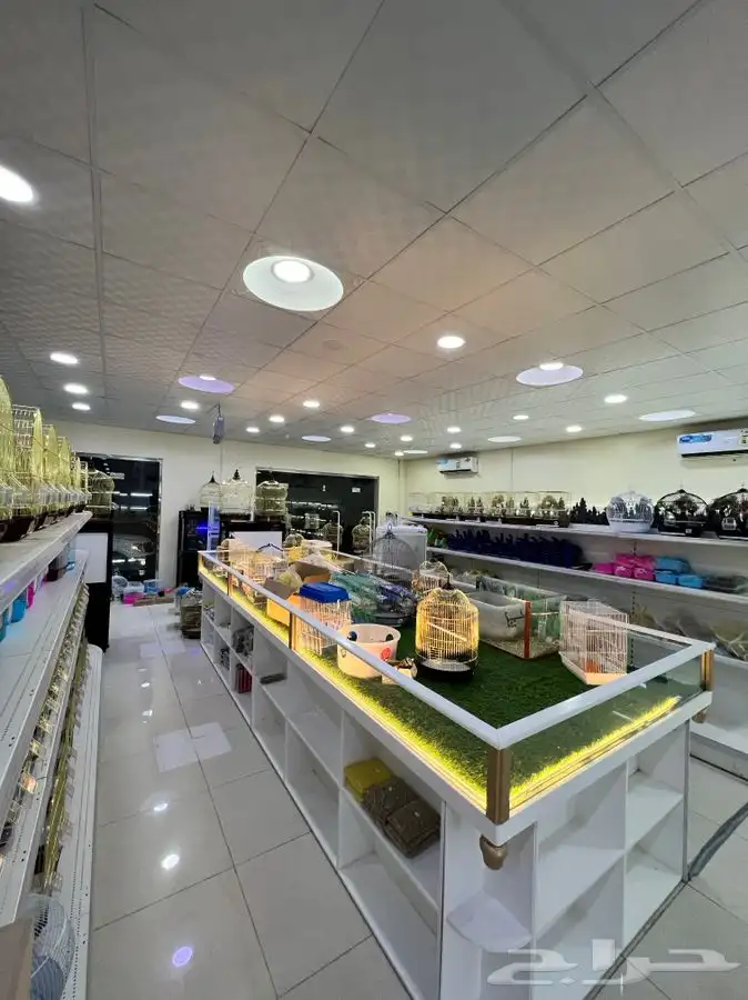 العامريه لطيور واسماك الزينه والقطط الاليفه 16