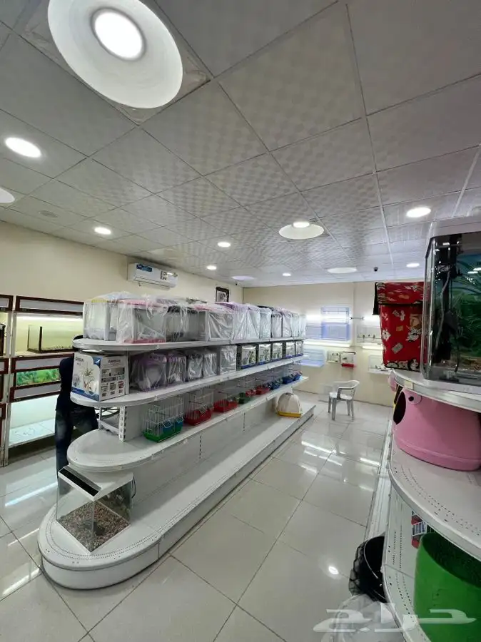 العامريه لطيور واسماك الزينه والقطط الاليفه 14