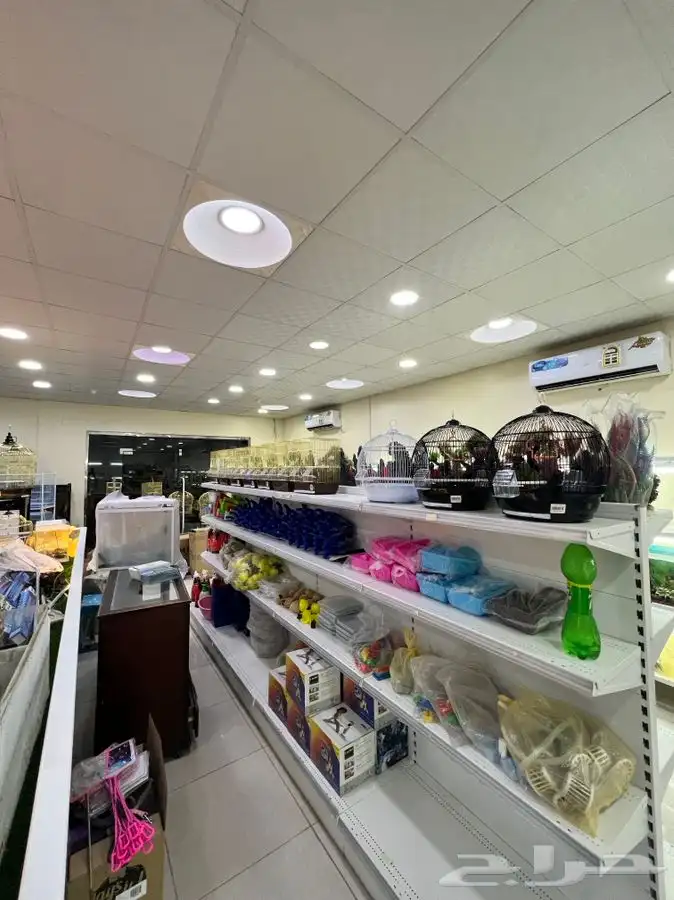 العامريه لطيور واسماك الزينه والقطط الاليفه 15