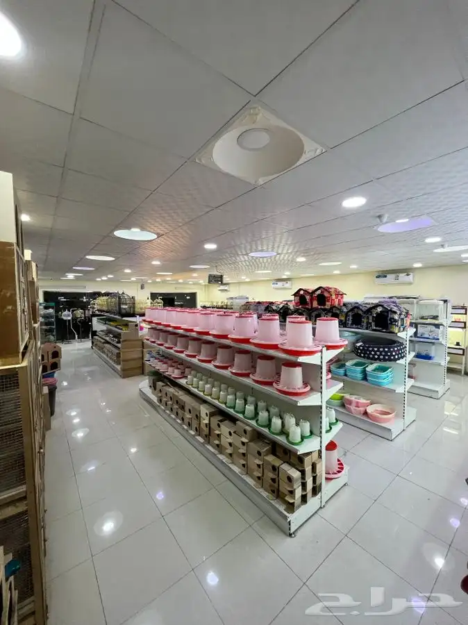 العامريه لطيور واسماك الزينه والقطط الاليفه 5