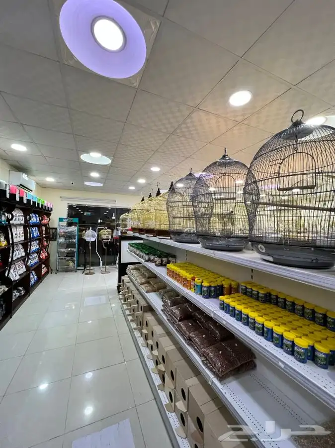 العامريه لطيور واسماك الزينه والقطط الاليفه 3