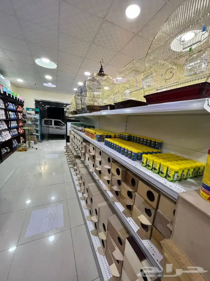 العامريه لطيور واسماك الزينه والقطط الاليفه 18