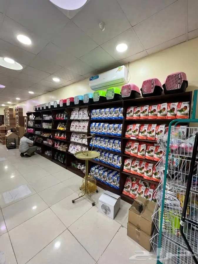 العامريه لطيور واسماك الزينه والقطط الاليفه 10