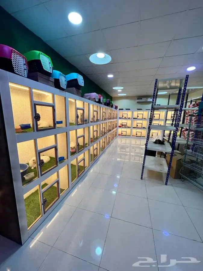 العامريه لطيور واسماك الزينه والقطط الاليفه 20