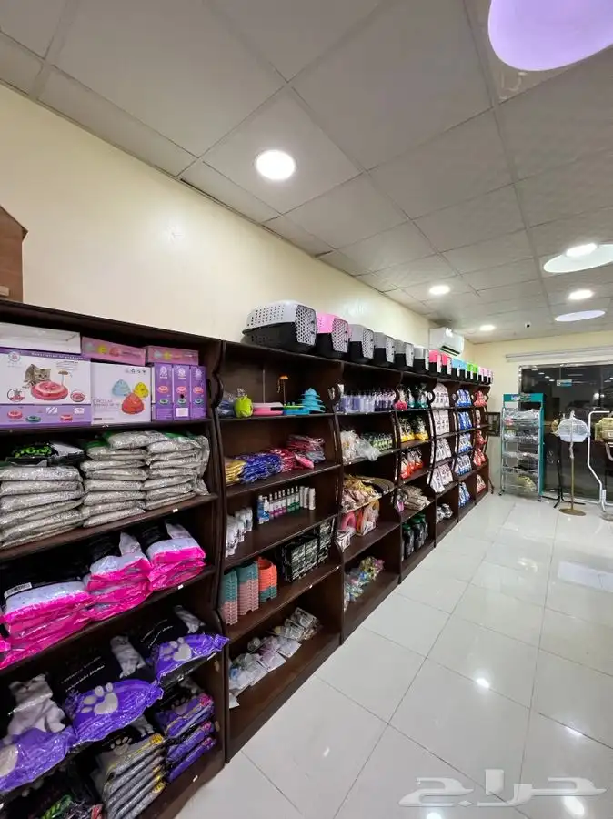 العامريه لطيور واسماك الزينه والقطط الاليفه 2