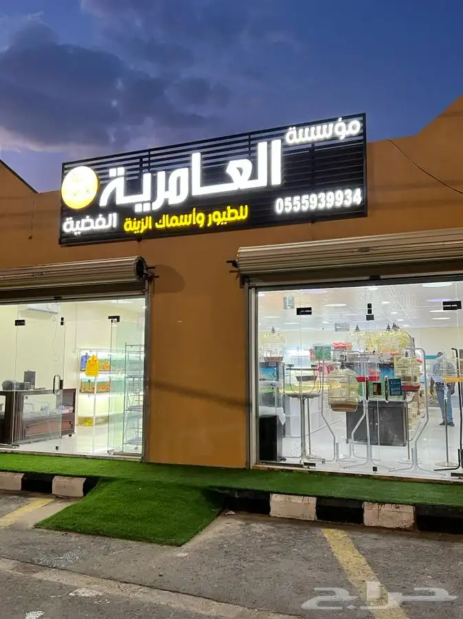 العامريه لطيور واسماك الزينه والقطط الاليفه 0