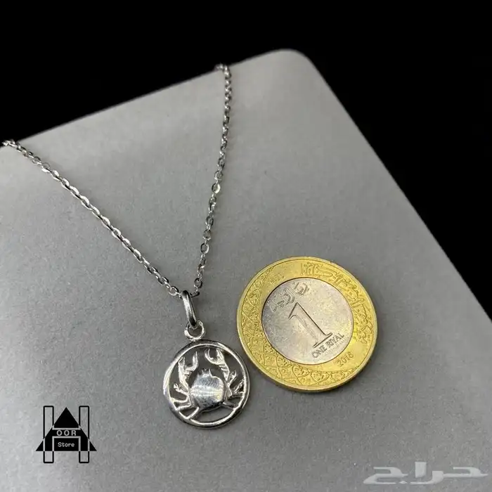 سلاسل فضه مع تعاليق ناعمة وراقية عيار 925تبدأ من 50 ريال 45