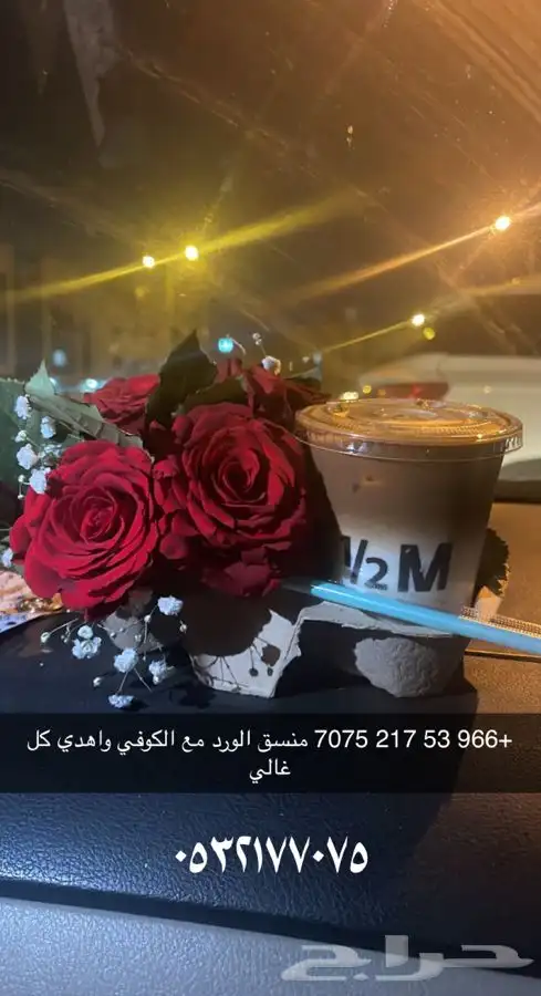 مصفف الشعر 1