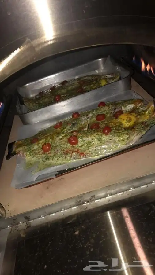 فرن حجر الجزيره افران استيل متنقل غاز 15