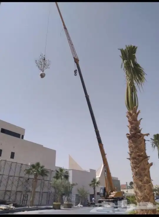 كرينات الايجار 9