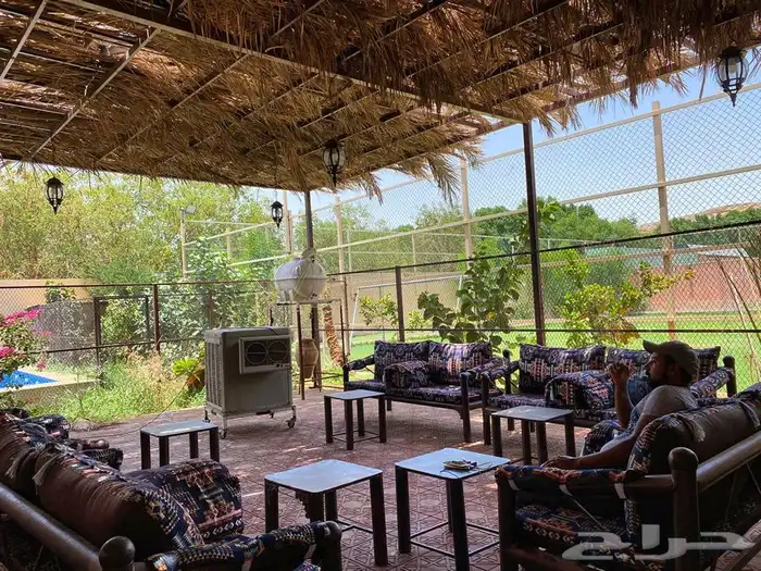 شاليه لليجار اليوميب500  وسط الاسبوع 14