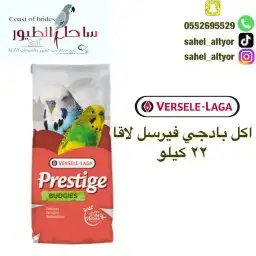 سيريلاك فرسل لاقا كروان كنيور روز كاسكو مكاو 21