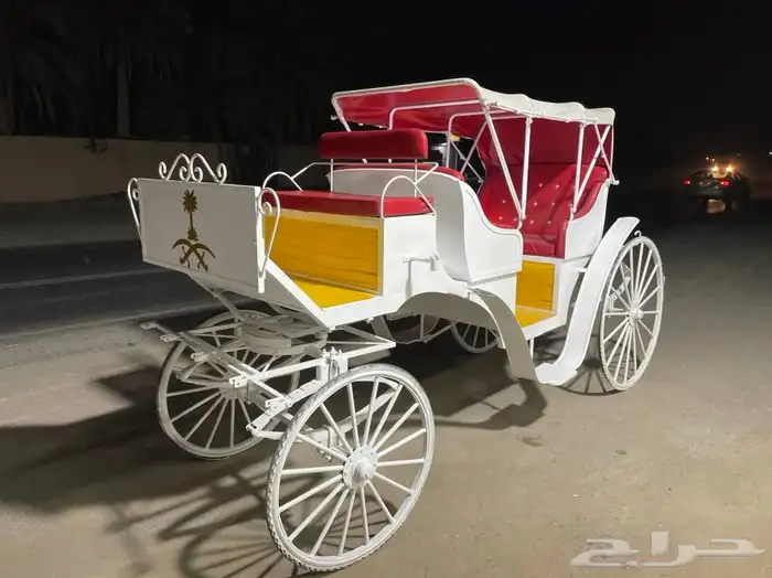 حنطور كهرب و حنطور خيل ( عربة خيل ) 15