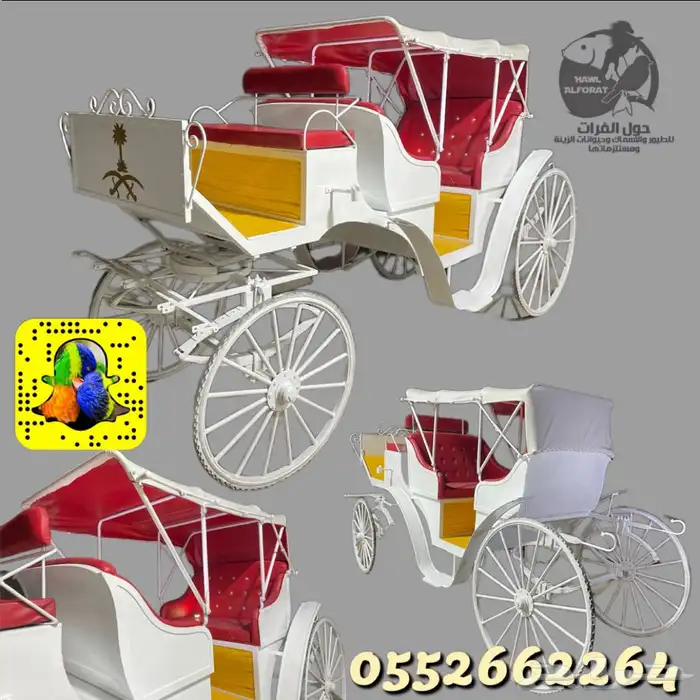 حنطور كهرب و حنطور خيل ( عربة خيل ) 13