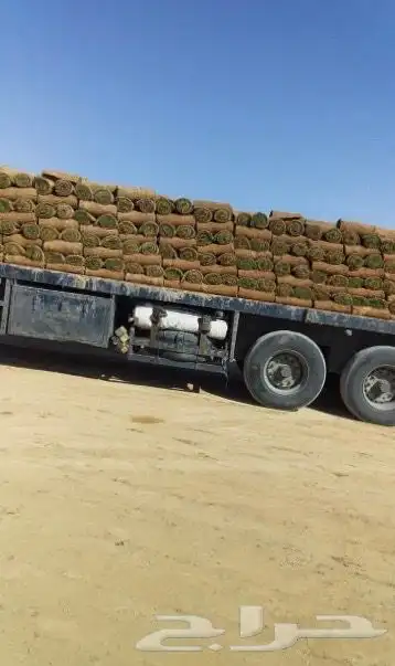 ثيل طبيعي نجيله C2000 صافي درجه اولى مياه ابار افضل جوده 5