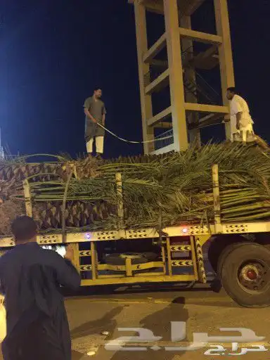 ثيل طبيعي نجيله C2000 صافي درجه اولى مياه ابار افضل جوده 6