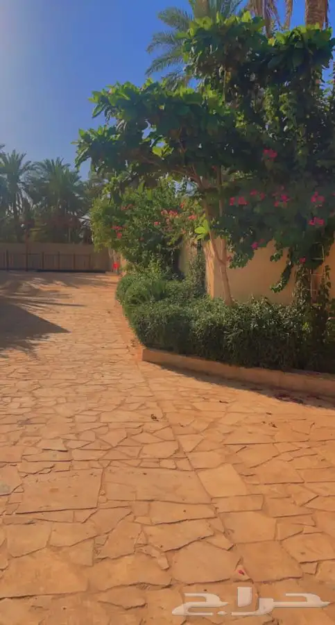 مزرعة مع مسبح و مبيت للايجار اليومي بسدير 0