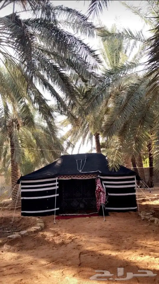 خيام وبيوت شعر وجميع مستلزمات المخيمات 39