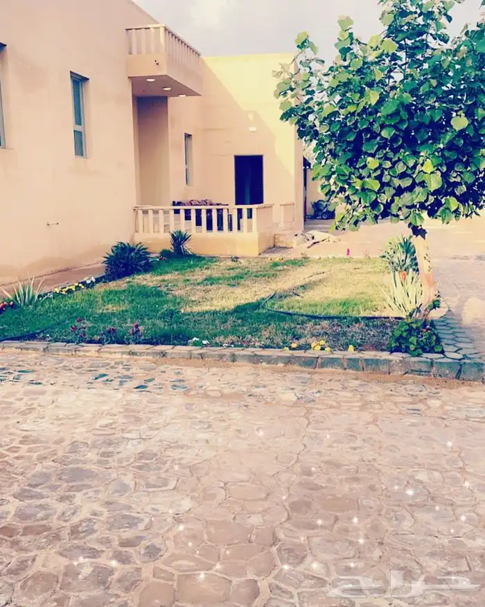 مزرعة مع مسبح و مبيت للايجار اليومي بسدير 17