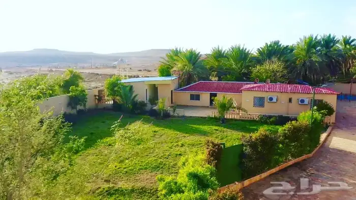 مزرعة مع مسبح و مبيت للايجار اليومي بسدير 15