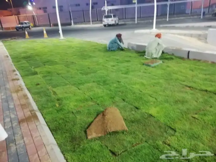 ثيل طبيعي نجيله C2000 صافي درجه اولى مياه ابار افضل جوده 11