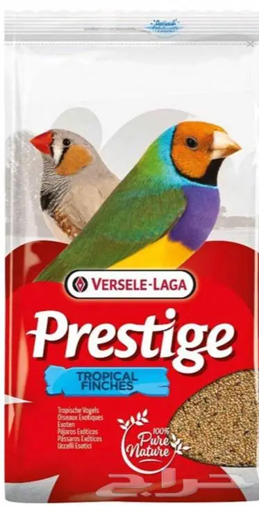 هامستر ارانب اقفاص العاب مكافئات 19