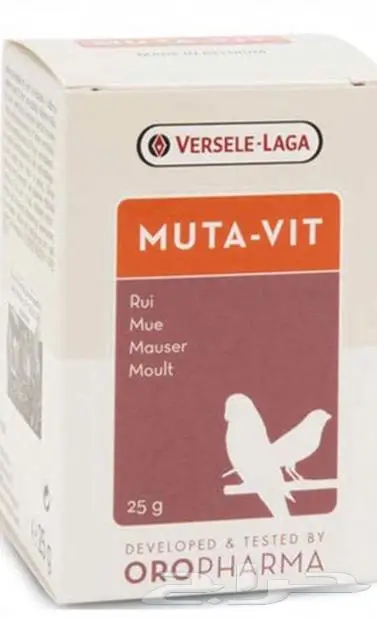 هامستر ارانب اقفاص العاب مكافئات 13