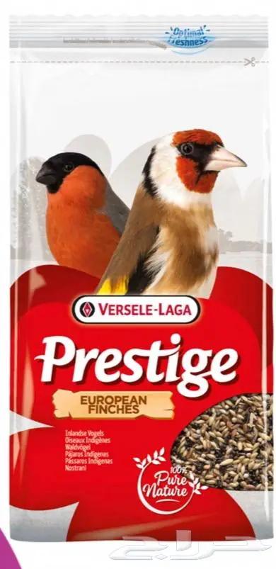 هامستر ارانب اقفاص العاب مكافئات 17