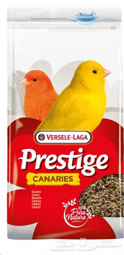 هامستر ارانب اقفاص العاب مكافئات 20