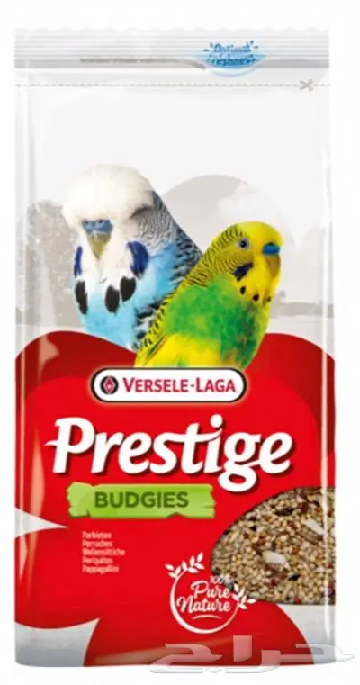 هامستر ارانب اقفاص العاب مكافئات 21