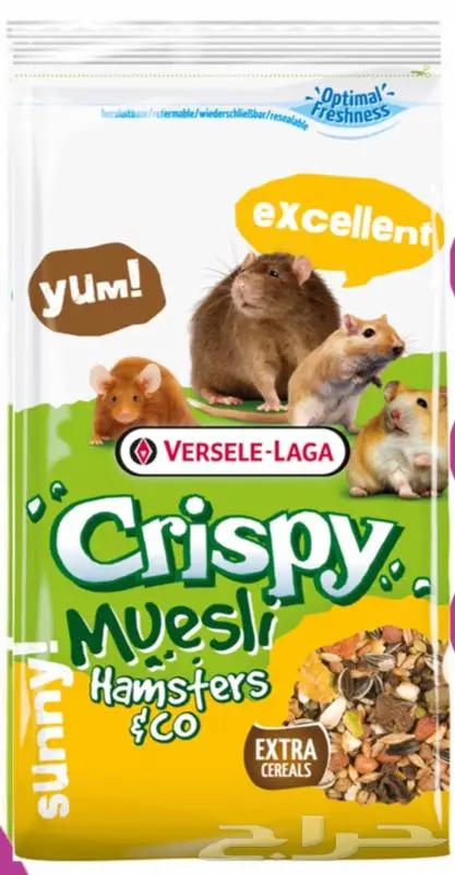 هامستر ارانب اقفاص العاب مكافئات 0