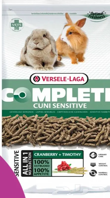 هامستر ارانب اقفاص العاب مكافئات 5