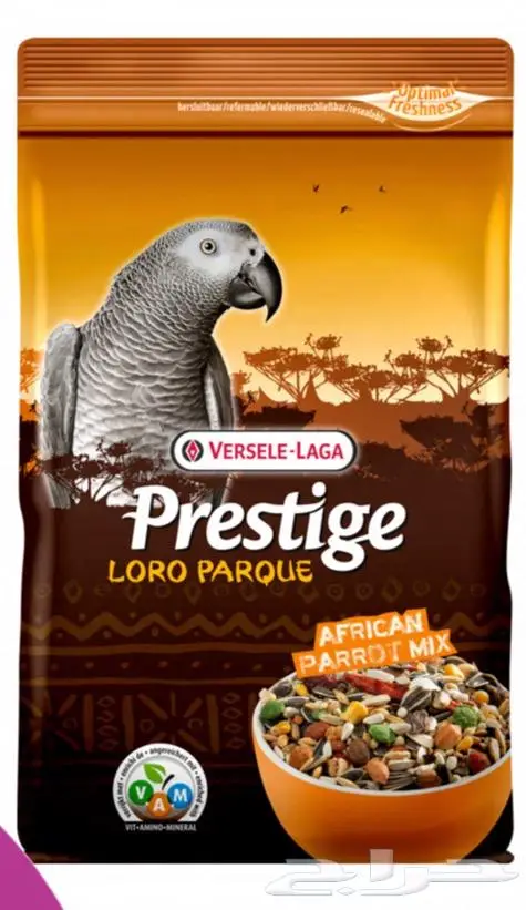 هامستر ارانب اقفاص العاب مكافئات 18