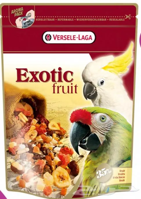 هامستر ارانب اقفاص العاب مكافئات 15