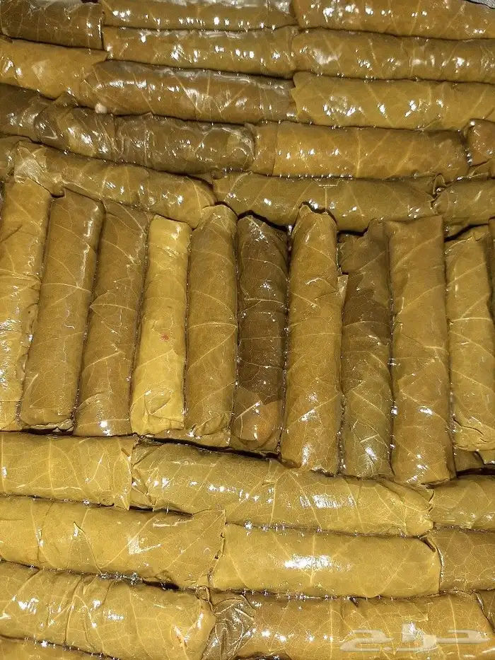 ورق عنب وملفوف واحلى عروض الاجازة الصيفية 17