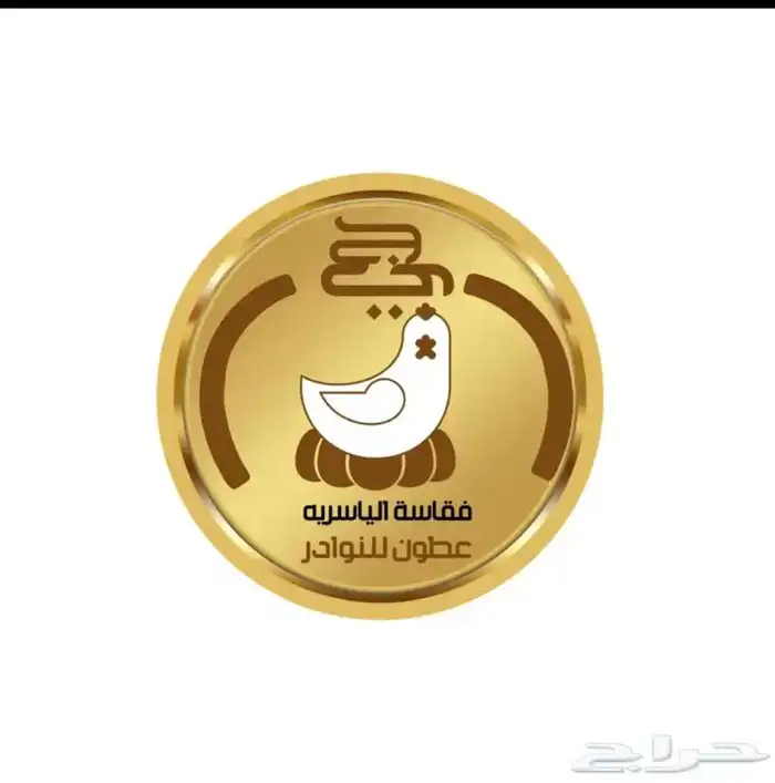 فقاسات الياسريه 8