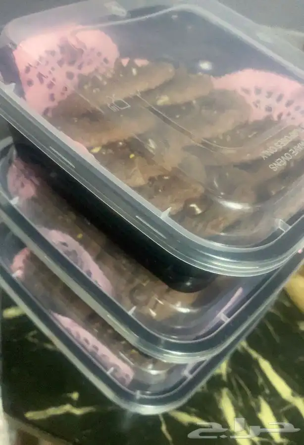 اسر منتجه 25