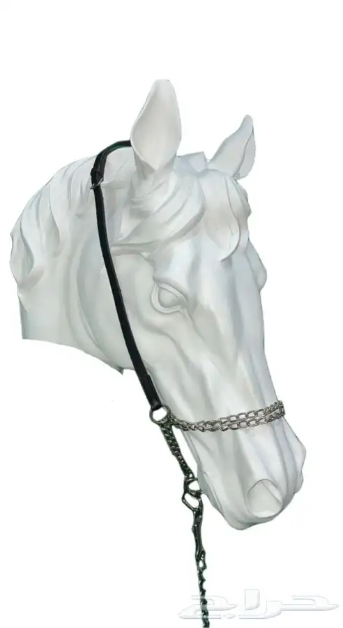 حذوات خيل وعدة تحذية حذوة 9