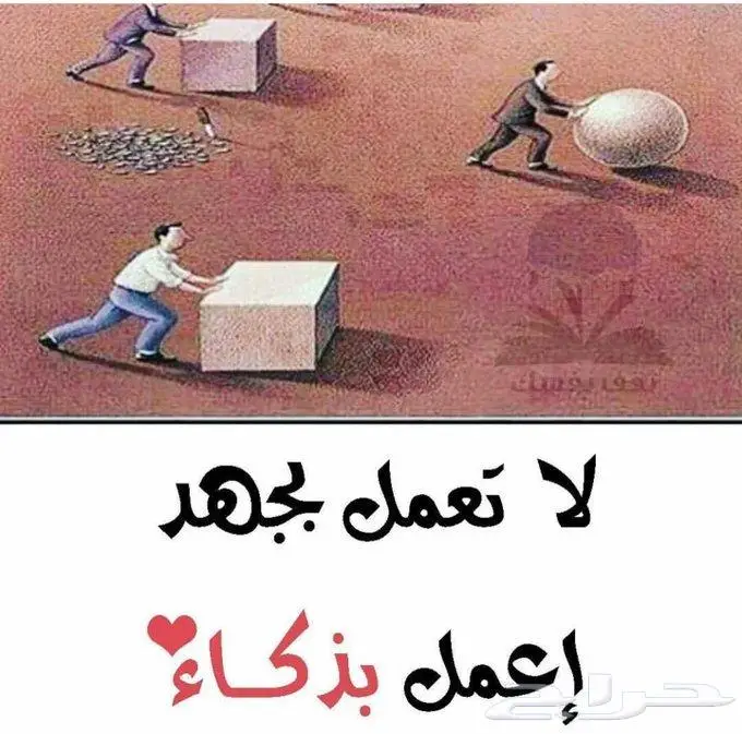 قدرات تحصيلي وحصص فيزياء رياضيات كيمياء أحياء 0