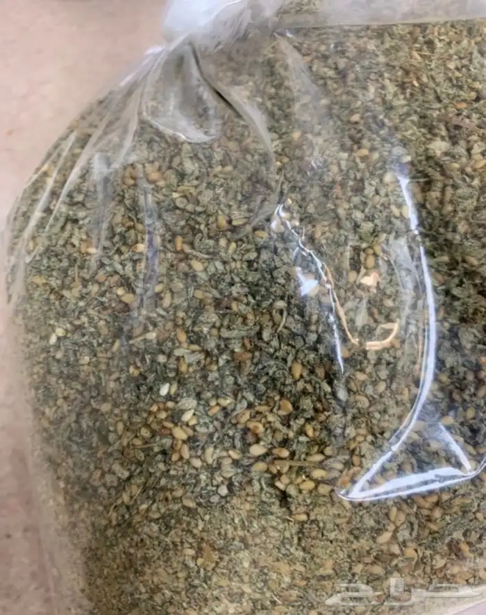 زعتر أردني 0