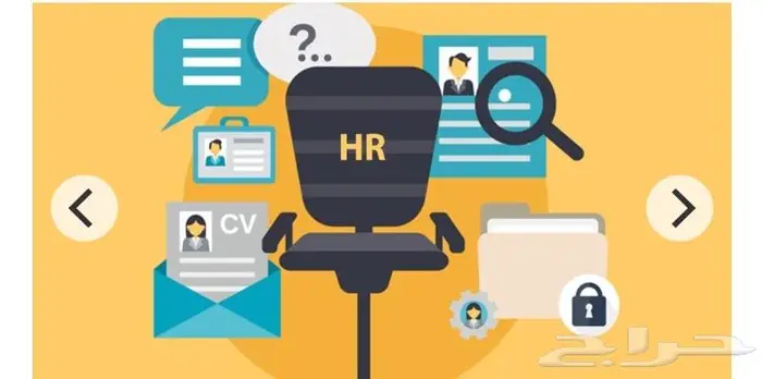 انشاء وصف وتحليل وظيفي ووضع هيكيلة باحترافية 0