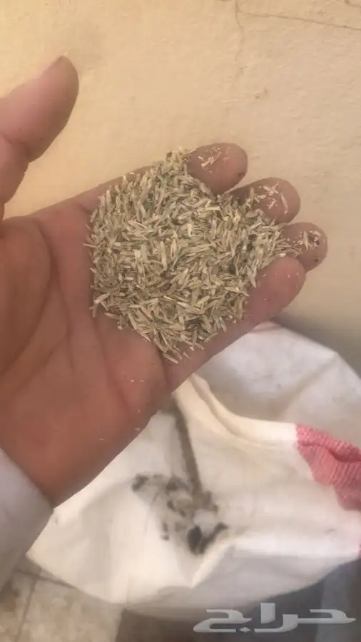 بذر مخلوط 0