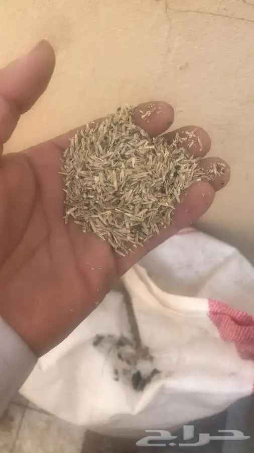 بذر مخلوط 1