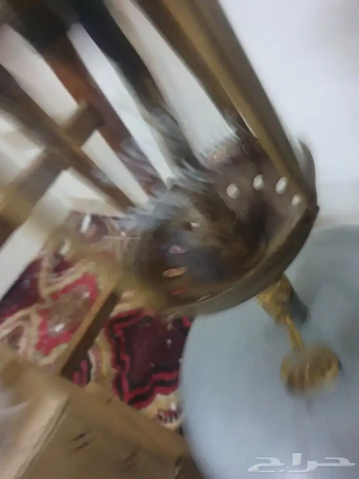 بيعة تراثية منوعة 19