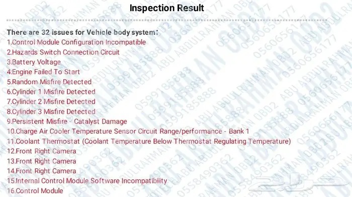 Diagnosing Trouble Codes on the spot Riyadh 2