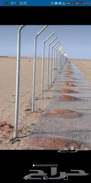 لدينا نخل وشنطني مع التوصيل والزرع 6